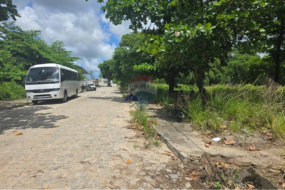 Terreno - Venda - Cabo de Santo Agostinho , Pernambuco - WhatsApp Image 2025-04-04 at 16.32.16.jpeg - 850281036-80