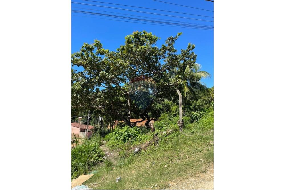 Terreno - Venda - Maceió , Alagoas - IMG-20250707-WA0006.jpg - 850711016-38