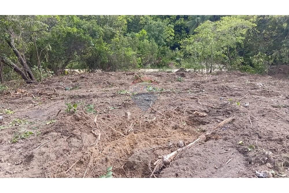 Terreno - Venda - Cabo de Santo Agostinho , Pernambuco - WhatsApp Image 2026-03-16 at 18.07.19.jpeg - 850281042-23