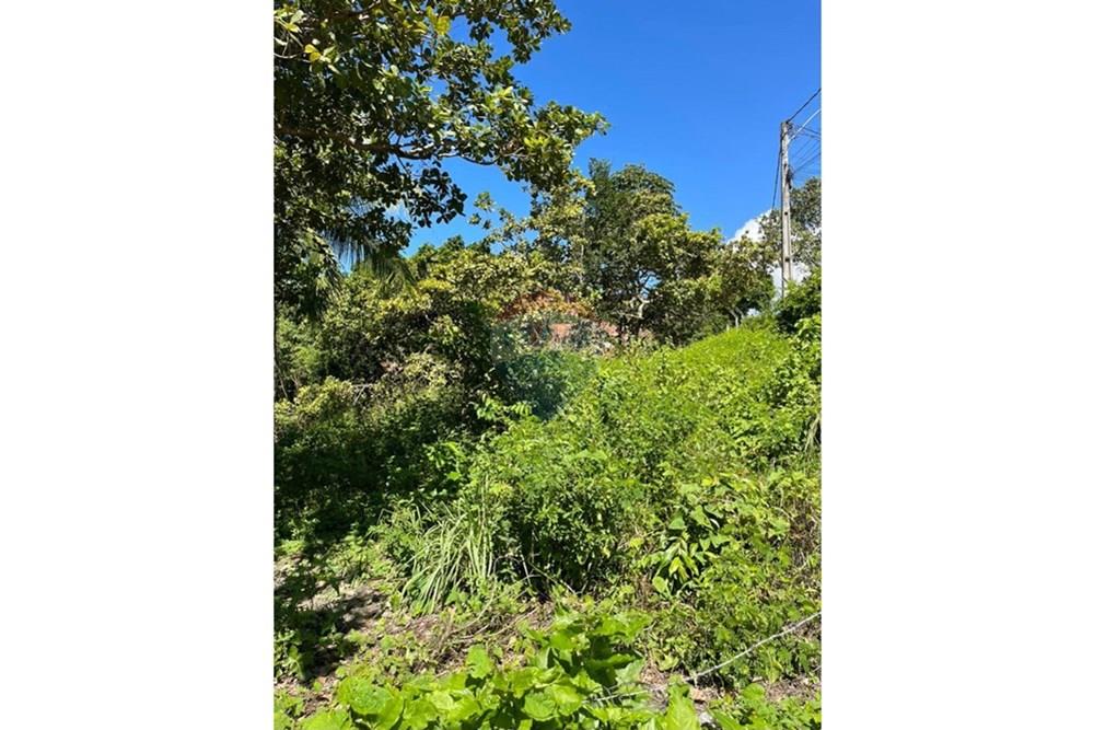 Terreno - Venda - Maceió , Alagoas - IMG-20250707-WA0008.jpg - 850711016-38