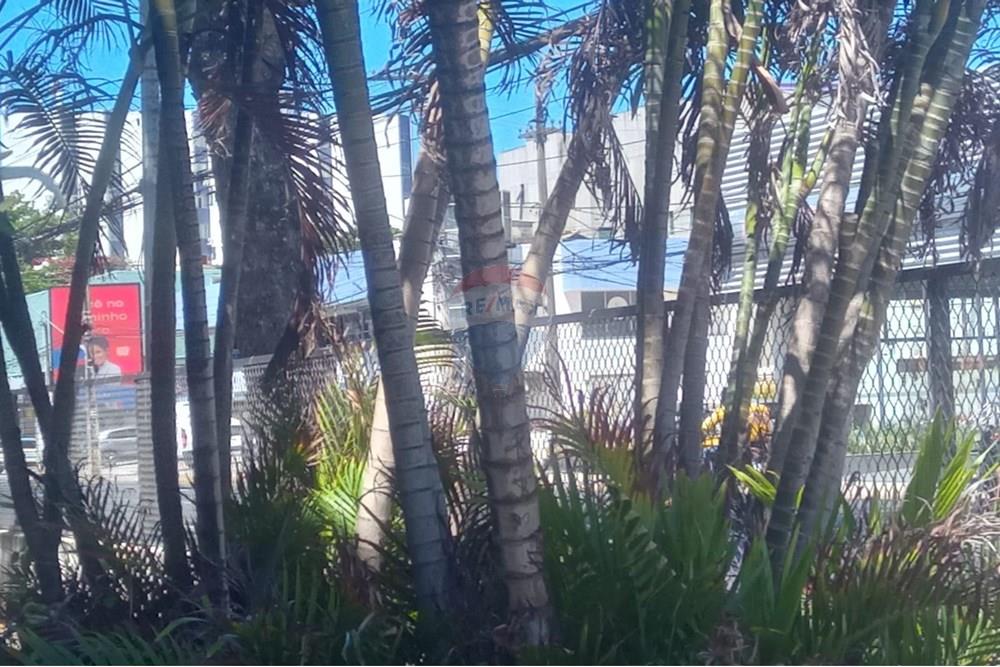 Apartamento - Venda - Jaboatão dos Guararapes , Pernambuco - 15.jpg - 850601008-33