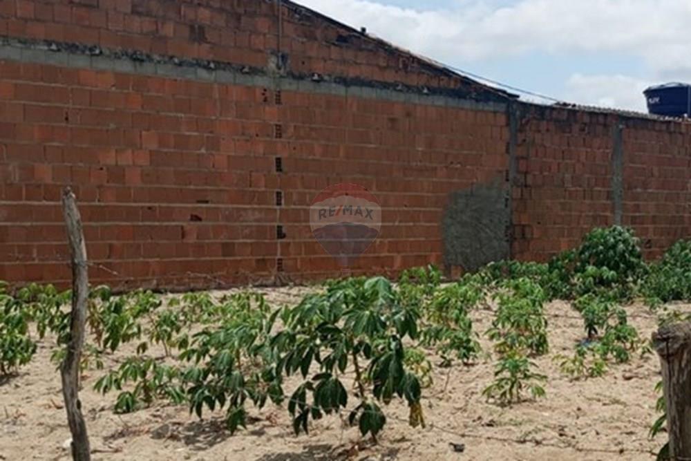 Terreno - Venda - Lajedo , Pernambuco - WhatsApp Image 2025-11-23 at 12.54.15 PM (2).jpeg - 850131012-48