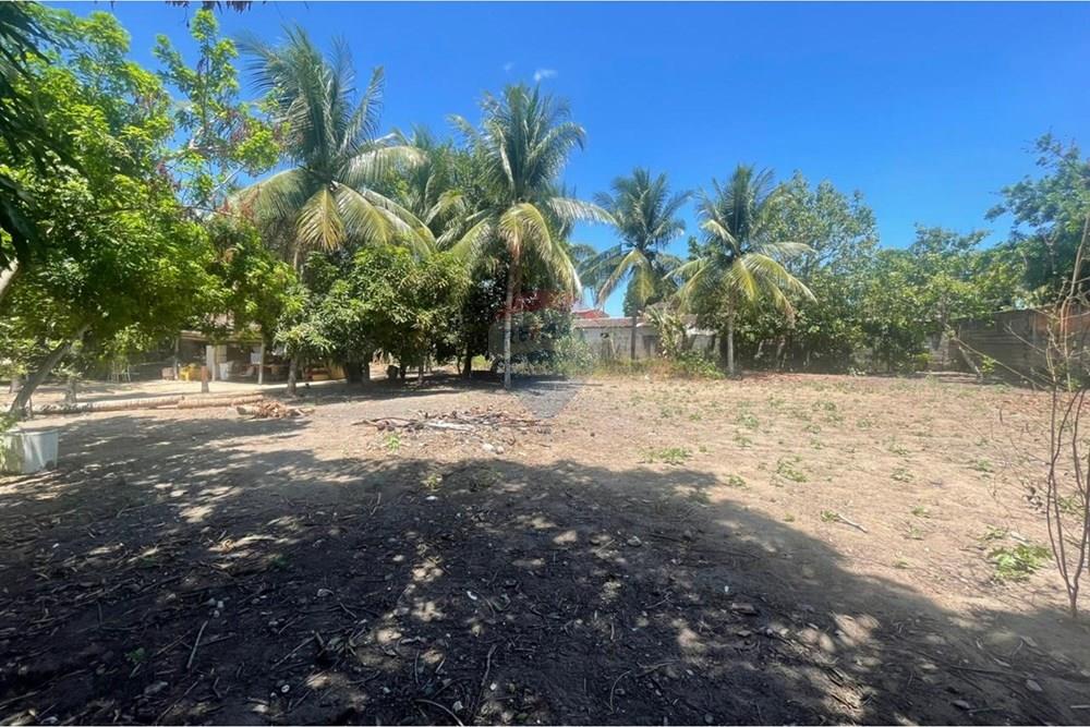 Terreno - Venda - Maceió , Alagoas - WhatsApp Image 2026-01-16 at 14.15.07.jpeg - 850271272-1