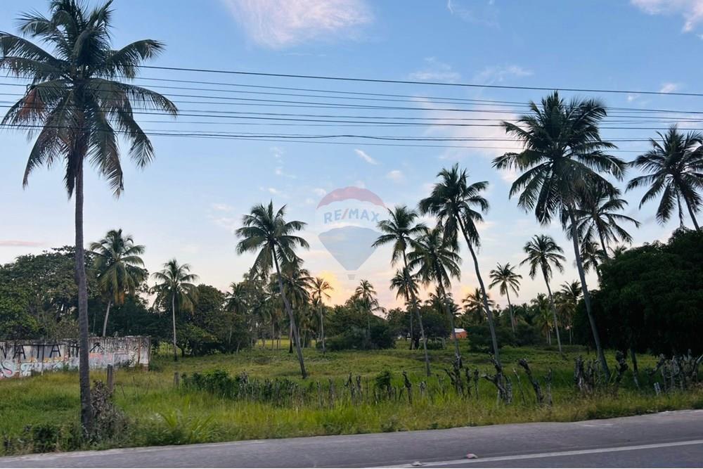 Terreno - Venda - Barra de Santo Antônio , Alagoas - 321b93df-f7d2-4b1c-b65f-871556e031f9.jpeg - 850711001-19