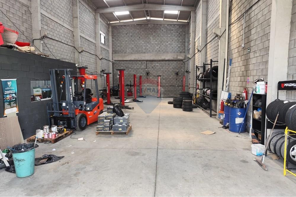 Galpão - Alugar - Recife , Pernambuco - WhatsApp Image 2026-03-30 at 15.02.27.jpeg - 850191024-505