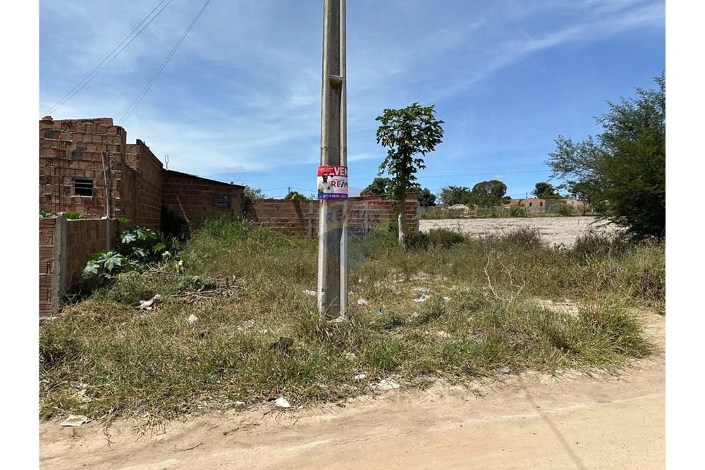 Terreno - Venda - Garanhuns , Pernambuco - WhatsApp Image 2025-05-13 at 21.24.53.jpeg - 850131003-443
