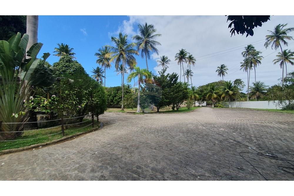 Chácara / Sítio / Fazenda - Venda - Tamandaré , Pernambuco - WhatsApp_Image_2026-02-12_at_06.39.46_(4)[1].jpeg - 850221048-18