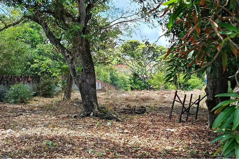 Terreno - Venda - Maceió , Alagoas - WhatsApp Image 2025-12-10 at 15.36.00 (3).jpeg - 850271159-435