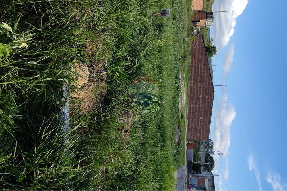 Terreno - Venda - Bonito , Pernambuco - WhatsApp Image 2025-03-10 at 08.44.20 (1).jpeg - 850051012-95