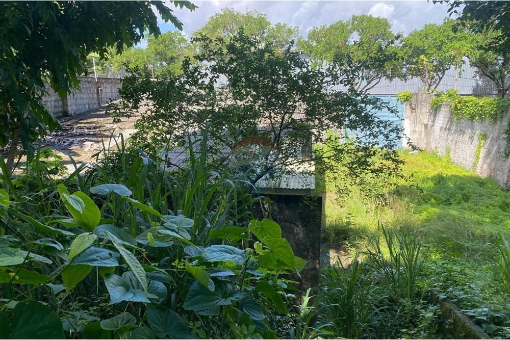 Casa Comercial - Venda - Recife , Pernambuco - IMG-20250617-WA0541.jpg - 850701012-89