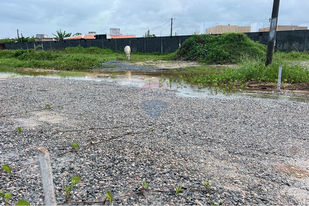 Terreno - Venda - Marechal Deodoro , Alagoas - IMG_3127.jpeg - 850271140-89
