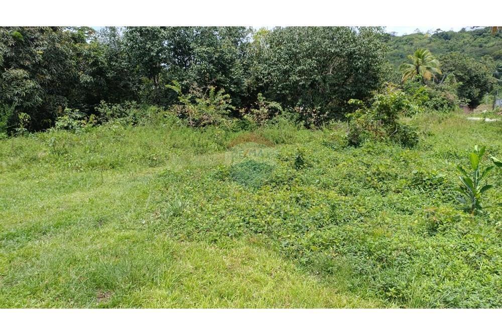 Terreno - Venda - Paulista , Pernambuco - WhatsApp Image 2025-10-11 at 10.26.59.jpeg - 850501060-494