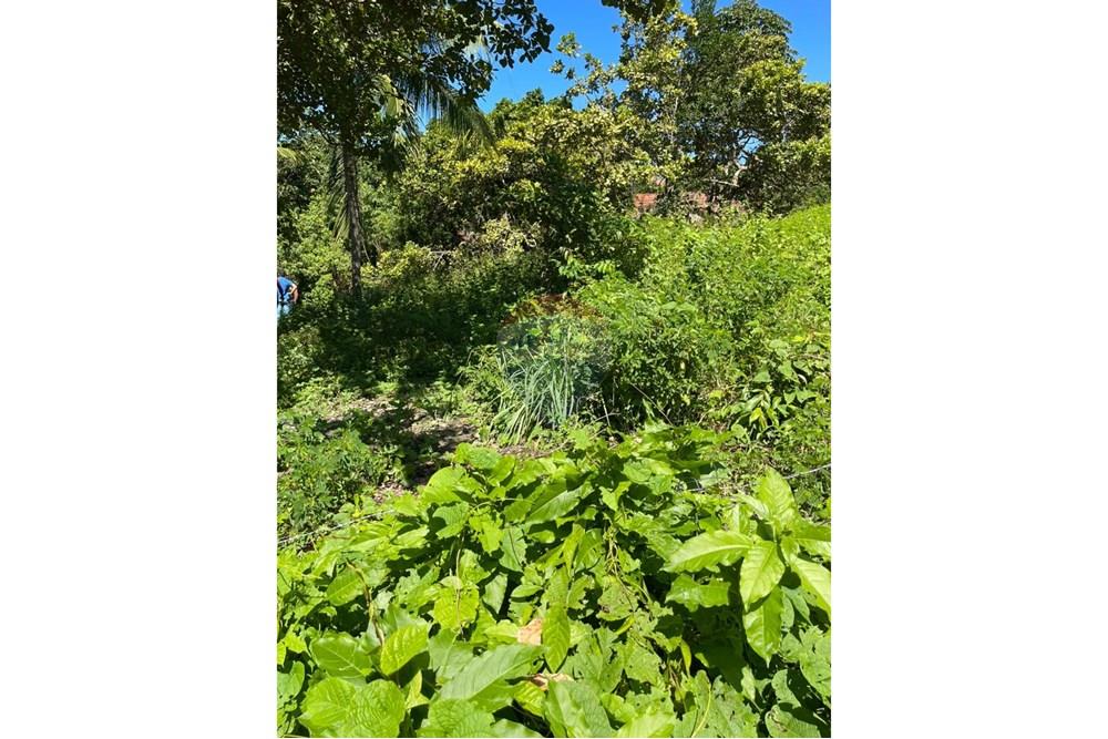 Terreno - Venda - Maceió , Alagoas - IMG-20250707-WA0010.jpg - 850711016-38