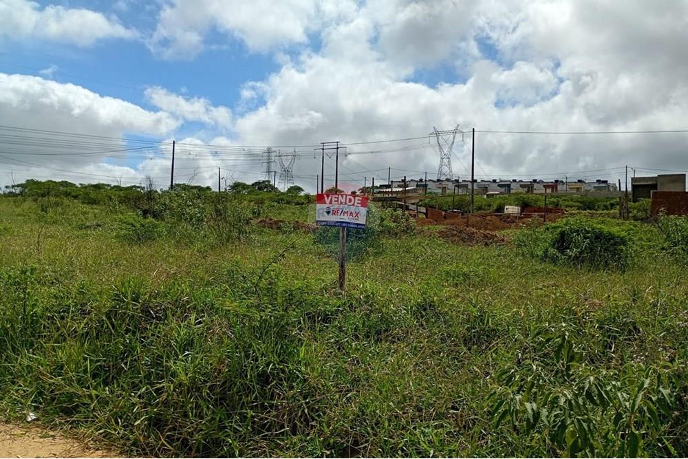 Terreno - Venda - Garanhuns , Pernambuco - 2 FOTO DO LOTE SEU ROCHA.jpg - 850741005-25