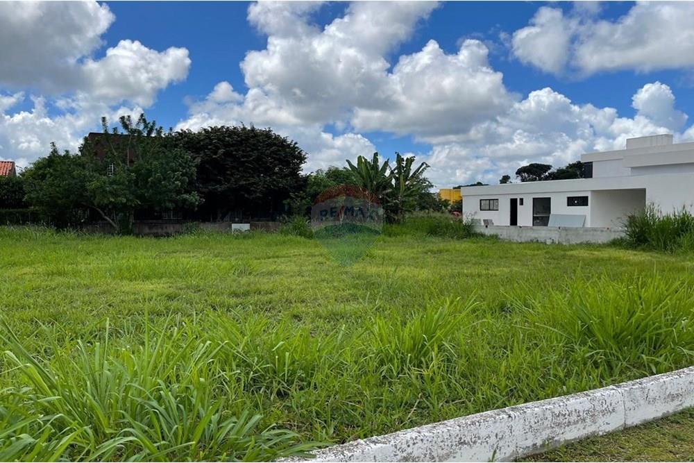 Terreno - Venda - Camaragibe , Pernambuco - Imagem do WhatsApp de 2025-08-12 à(s) 09.47.09_8fd12726.jpg - 850731002-6