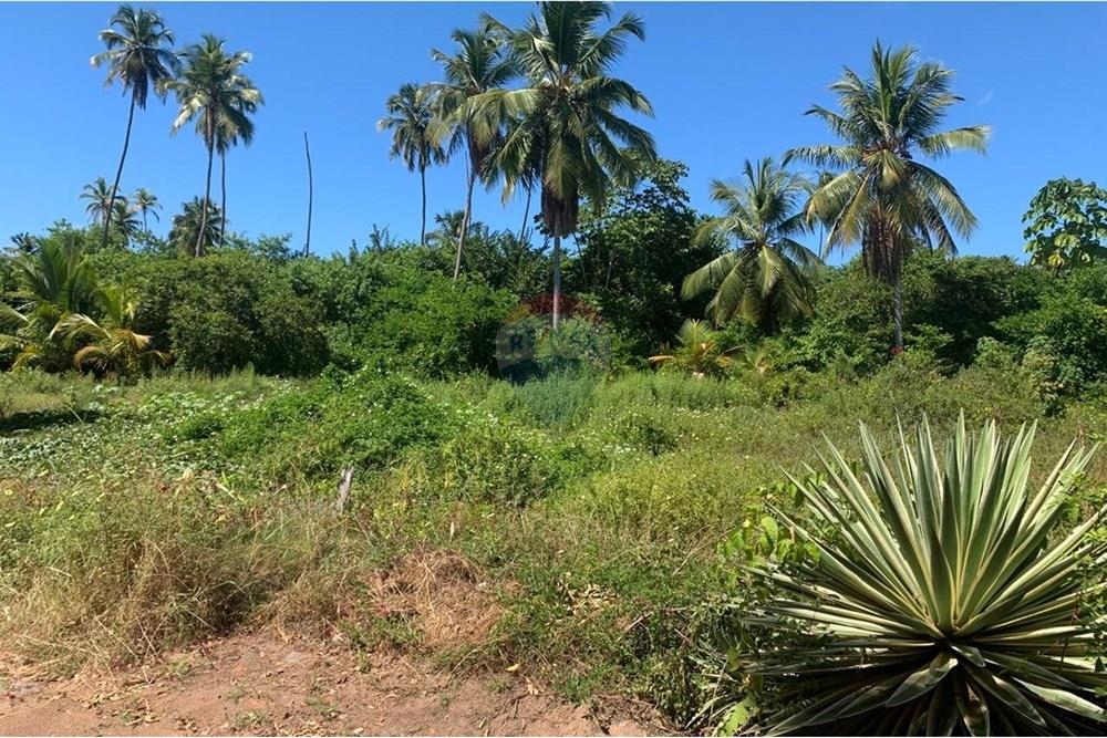 Terreno - Venda - Porto de Pedras , Alagoas - 7.jpg - 850271286-55