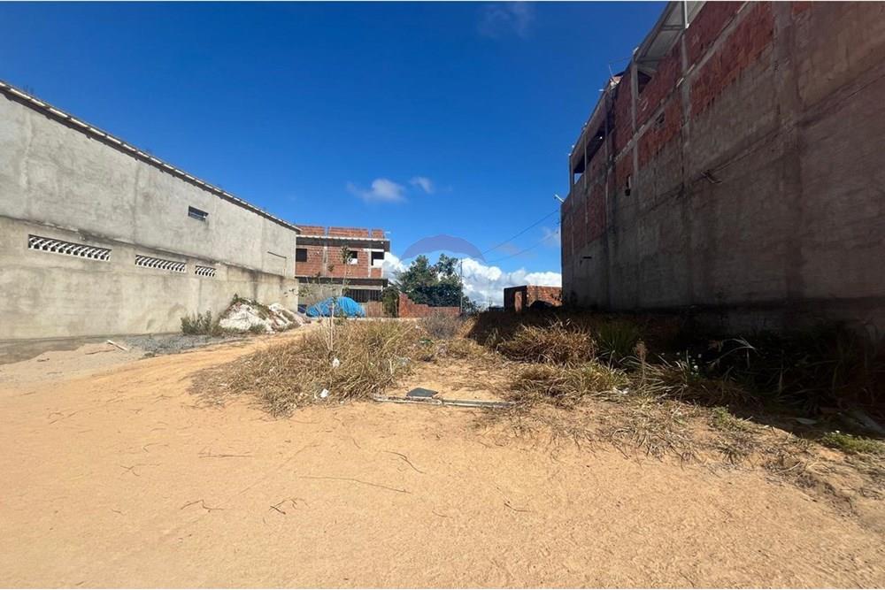 Terreno - Venda - Cabo de Santo Agostinho , Pernambuco - WhatsApp Image 2025-12-31 at 08.40.40 (1).jpeg - 850281001-62