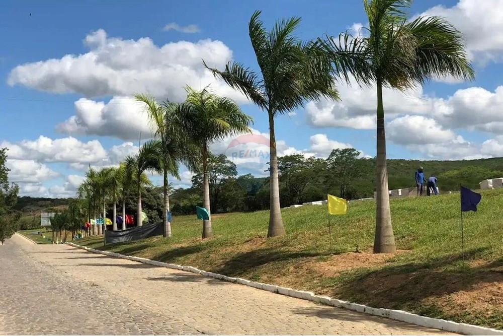 Terreno - Venda - Bezerros , Pernambuco - IMG-20250915-WA0013.jpg - 850731004-29
