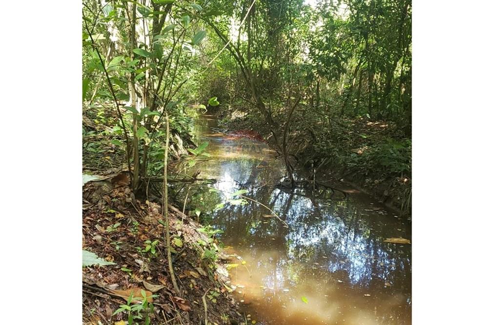 Chácara / Sítio / Fazenda - Venda - Paudalho , Pernambuco - Riacho.jpeg - 850501009-226