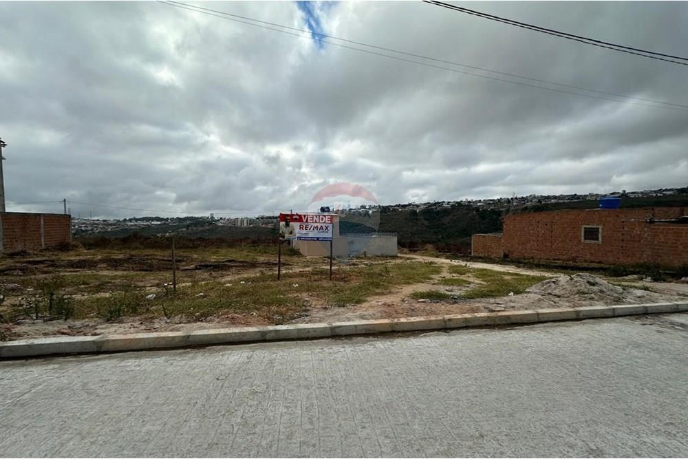 Terreno - Venda - Garanhuns , Pernambuco - WhatsApp Image 2025-01-08 at 17.00.50 (8).jpeg - 850131003-370