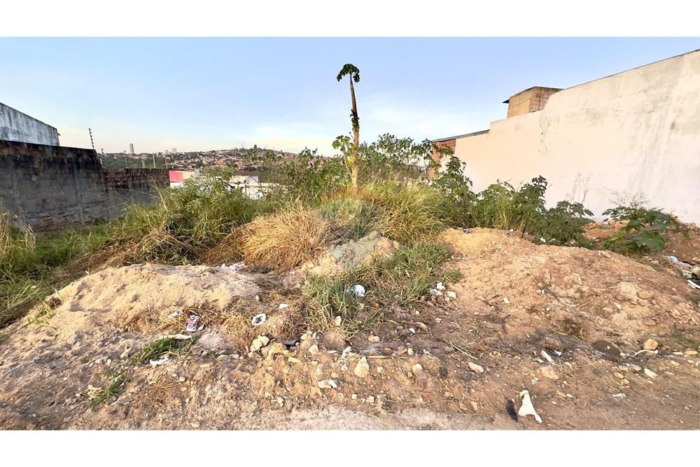 Terreno - Venda - Garanhuns , Pernambuco - IMG_2397.jpeg - 850741004-297