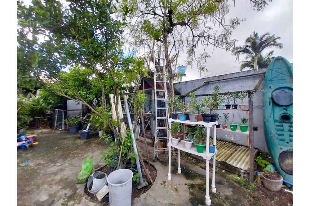 Casa - Venda - Maceió , Alagoas - WhatsApp Image 2025-06-21 at 12.35.11.jpeg - 850271159-436