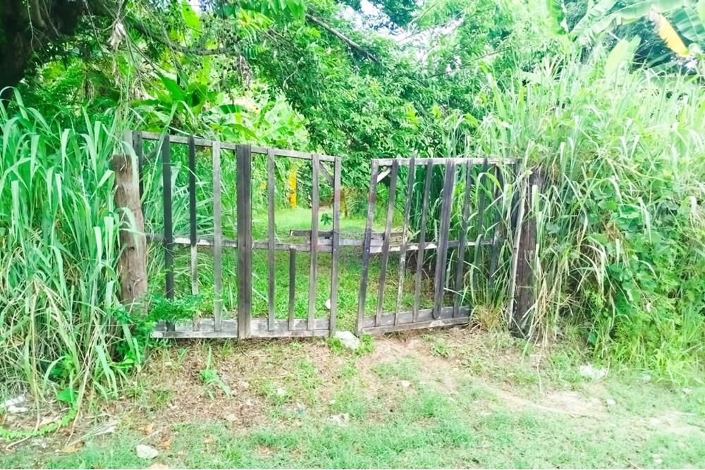 Terreno - Venda - Paulista , Pernambuco - WhatsApp Image 2025-03-16 at 14.59.10 (2).jpeg - 850721002-141