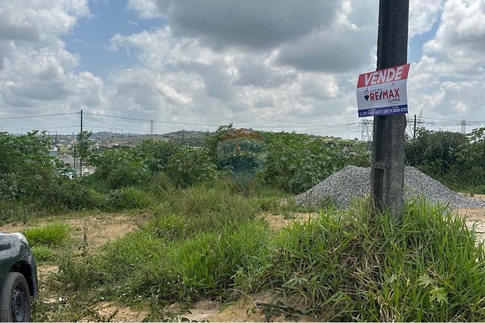 Terreno - Venda - Garanhuns , Pernambuco - WhatsApp Image 2025-10-29 at 13.19.06 rocha 2.jpeg - 850741007-2