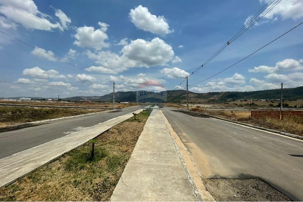 Terreno - Venda - União dos Palmares , Alagoas - WhatsApp Image 2025-02-12 at 11.06.52 (1).jpeg - 850271054-232