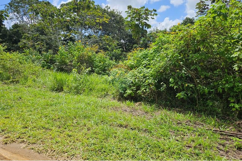 Terreno - Venda - Paudalho , Pernambuco - WhatsApp Image 2025-09-04 at 14.10.57 (2).jpeg - 850471016-73