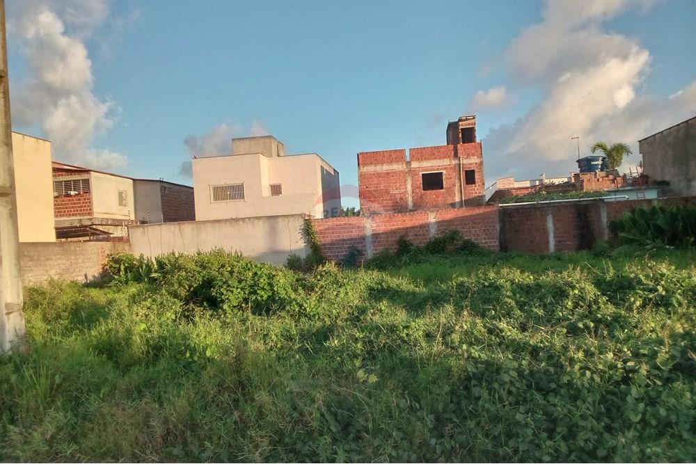 Terreno - Venda - Cabo de Santo Agostinho , Pernambuco - IMG_20250417_164633_793.jpg - 850281015-121