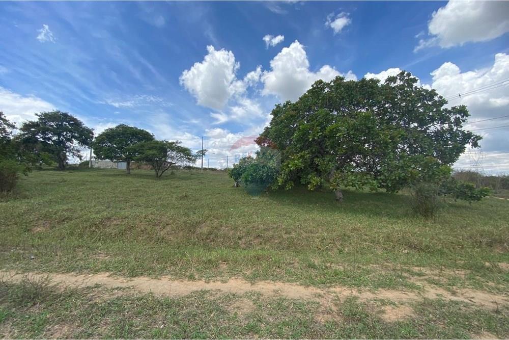 Terreno - Venda - Garanhuns , Pernambuco - Brisa 6.jpeg - 850741009-1