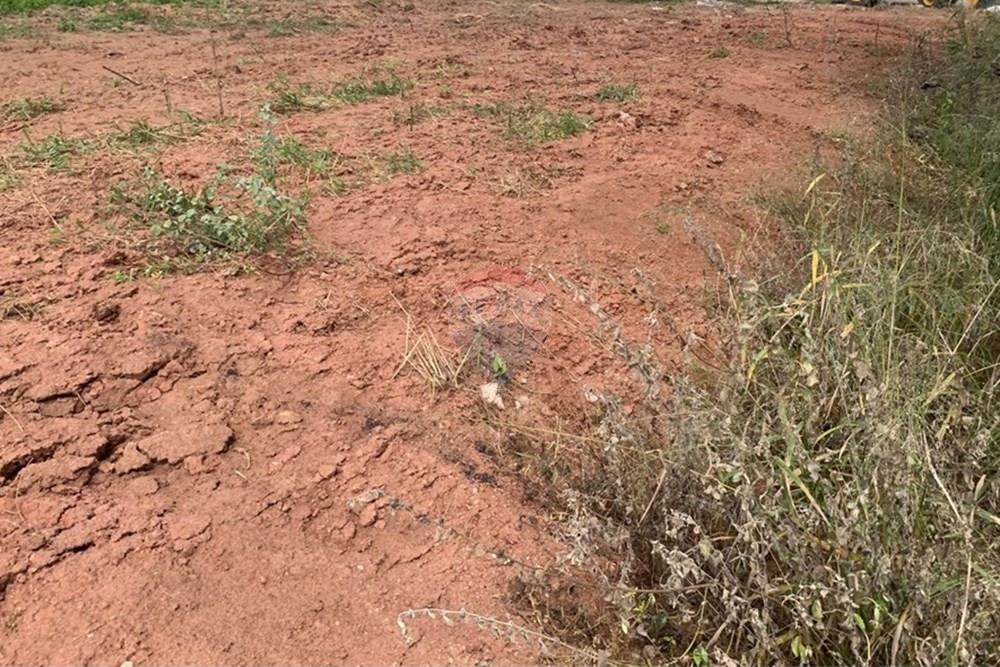 Terreno - Venda - Palmeira dos Índios , Alagoas - f42af889-06c9-43ef-8cf1-751e7242b62d.jpg - 850271243-2