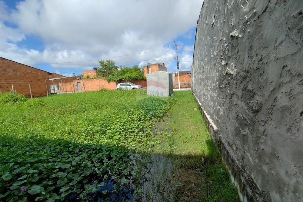 Terreno - Venda - Marechal Deodoro , Alagoas - IMG_20250605_131304234_HDR.jpg - 850651033-4