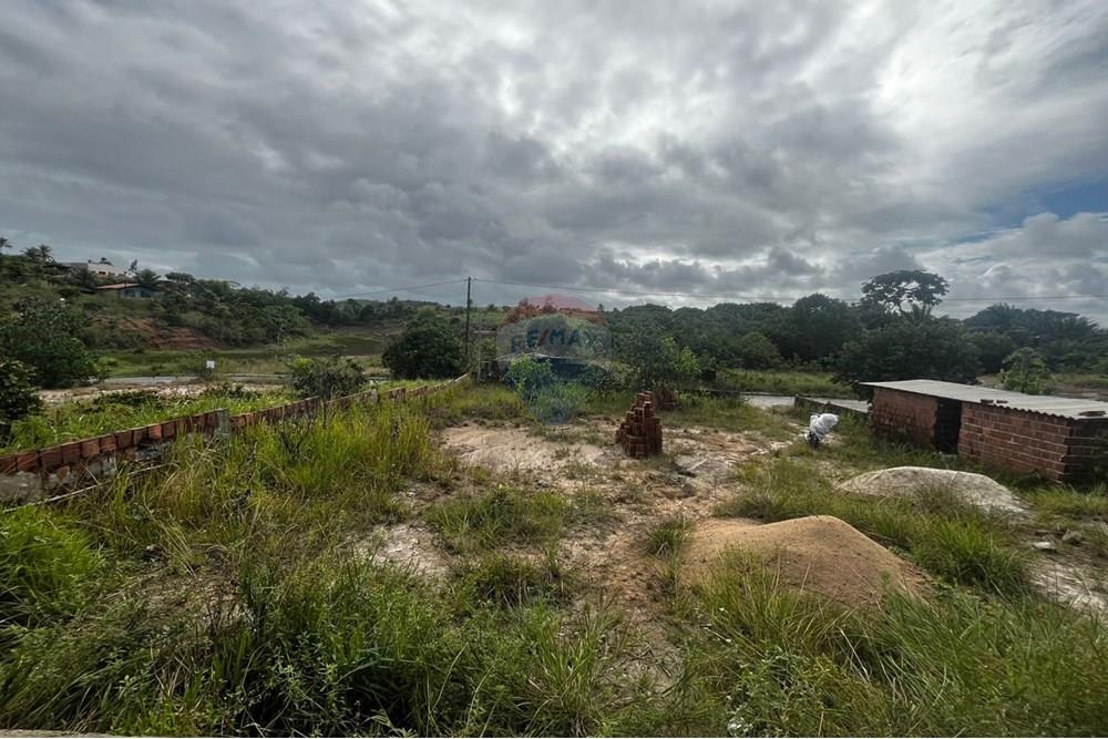 Casa - Venda - Ipojuca , Pernambuco - WhatsApp Image 2025-05-31 at 14.12.04 (1).jpeg - 850221036-9