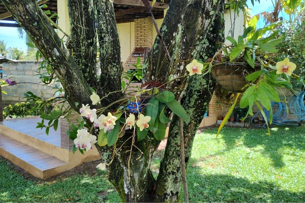 Casa de Condomínio - Venda - Maceió , Alagoas - WhatsApp Image 2026-03-04 at 17.45.59 (2).jpeg - 850751018-15