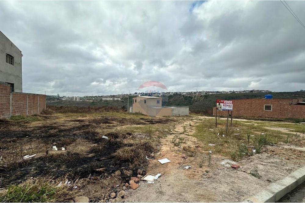 Terreno - Venda - Garanhuns , Pernambuco - WhatsApp Image 2025-01-08 at 17.00.51.jpeg - 850131003-372