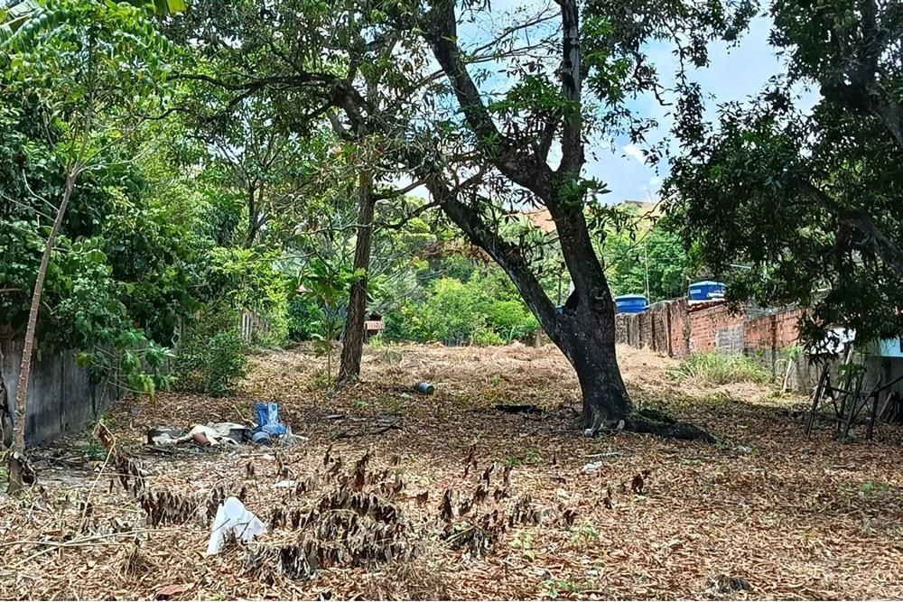 Terreno - Venda - Maceió , Alagoas - WhatsApp Image 2025-12-10 at 15.35.58 (3).jpeg - 850271159-435