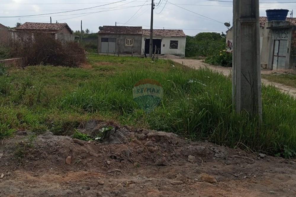 Terreno - Venda - Lajedo , Pernambuco - WhatsApp Image 2025-11-17 at 12.26.38 PM.jpeg - 850131012-49