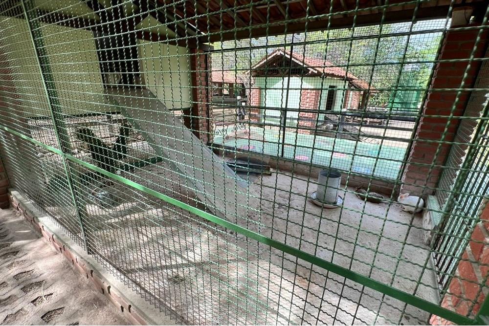 Casa - Venda - Gravatá , Pernambuco - Imagem do WhatsApp de 2025-07-28 à(s) 17.15.34_5d6cc57b.jpg - 850301001-342