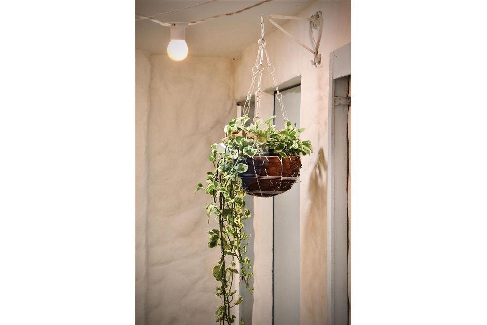 Cj. Comercial/ Sala - Alugar - Ipojuca , Pernambuco - 37 - 850221002-497