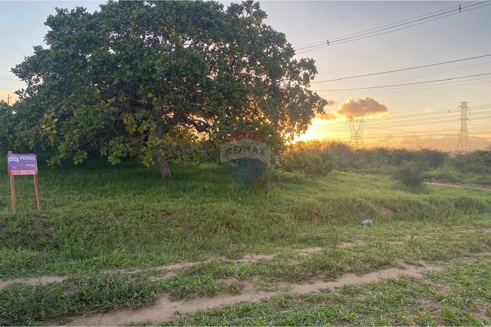 Terreno - Venda - Garanhuns , Pernambuco - WhatsApp Image 2026-03-27 at 15.40.55 (11).jpeg - 850741009-1