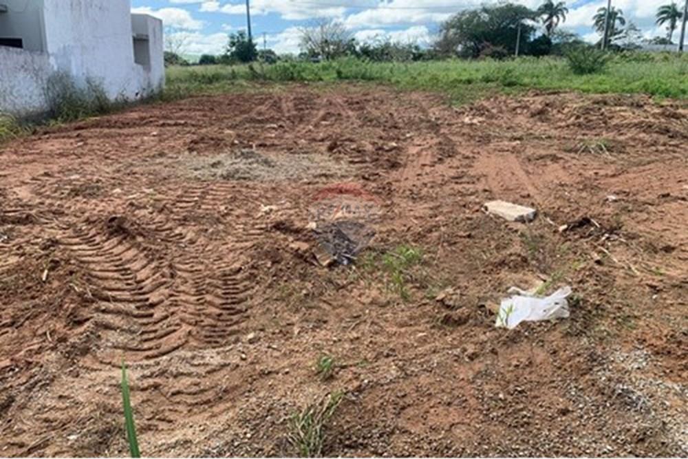 Terreno - Venda - Palmeira dos Índios , Alagoas - L_8c863376-3419-43c8-9f9c-cddabb8caad3.jpg - 850271243-2