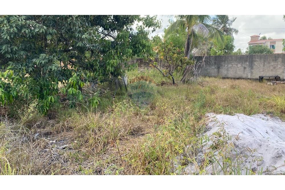 Terreno - Venda - Maragogi , Alagoas - IMG_3089.jpeg - 850271264-16