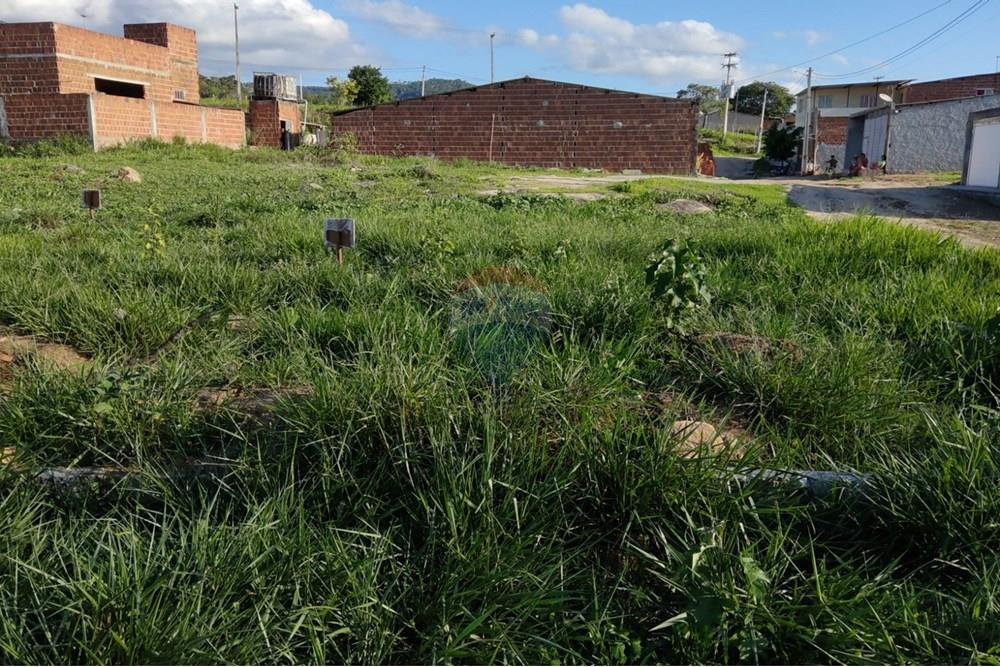 Terreno - Venda - Bonito , Pernambuco - WhatsApp Image 2025-03-10 at 08.43.25.jpeg - 850051012-95