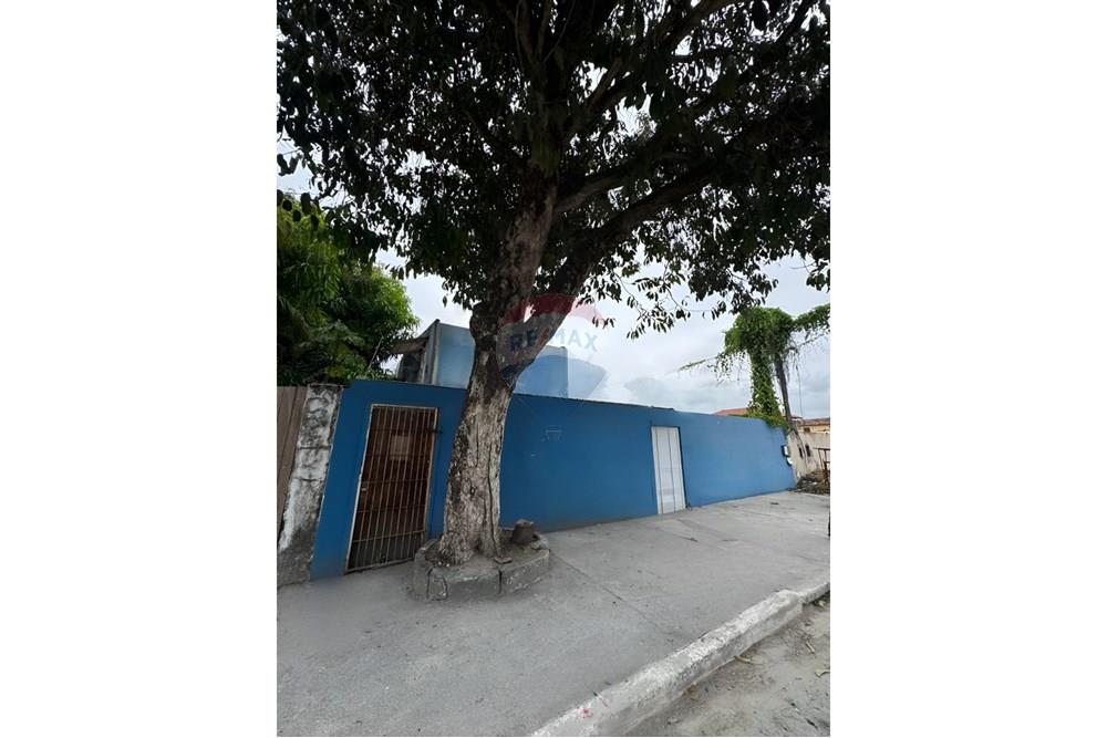 Terreno - Venda - Ipojuca , Pernambuco - WhatsApp Image 2025-12-10 at 09.45.01.jpeg - 850221031-262