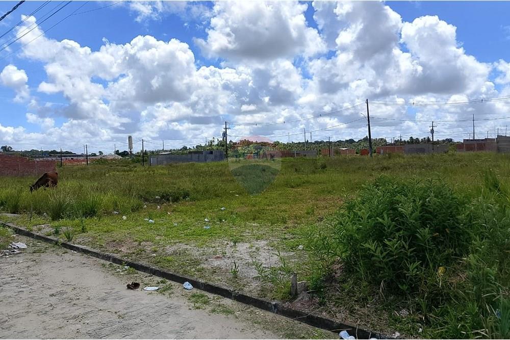 Terreno - Venda - Marechal Deodoro , Alagoas - WhatsApp Image 2025-09-09 at 17.37.56 (3).jpeg - 850271161-92