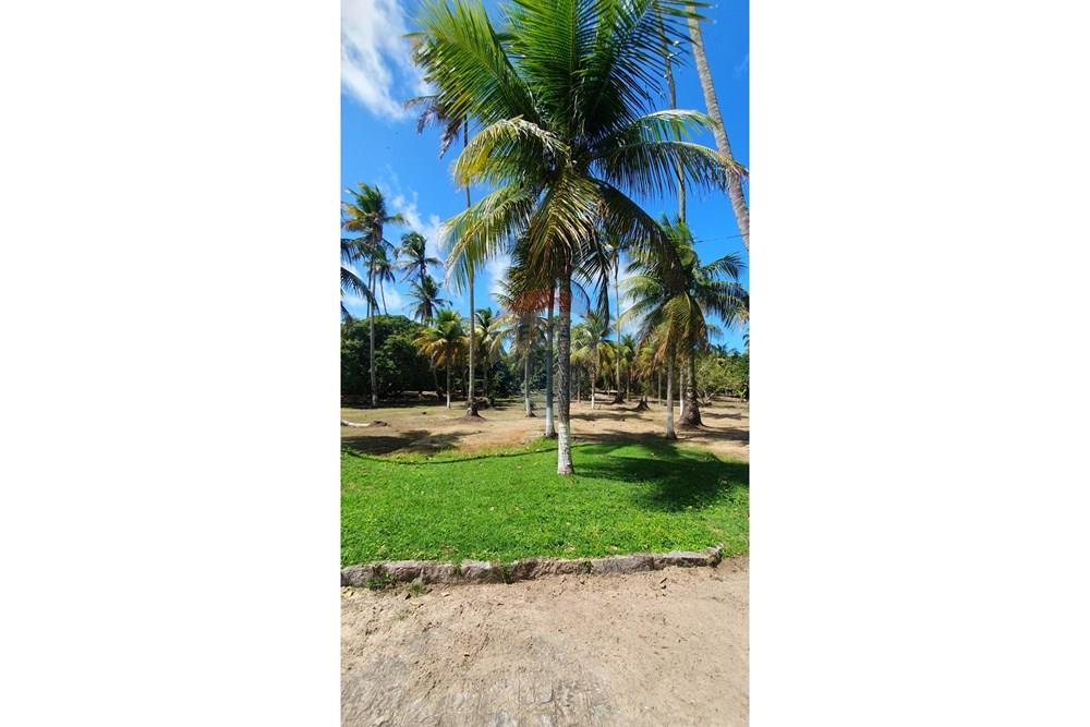 Chácara / Sítio / Fazenda - Venda - Tamandaré , Pernambuco - WhatsApp_Image_2026-02-12_at_06.39.46_(2)[1].jpeg - 850221048-18