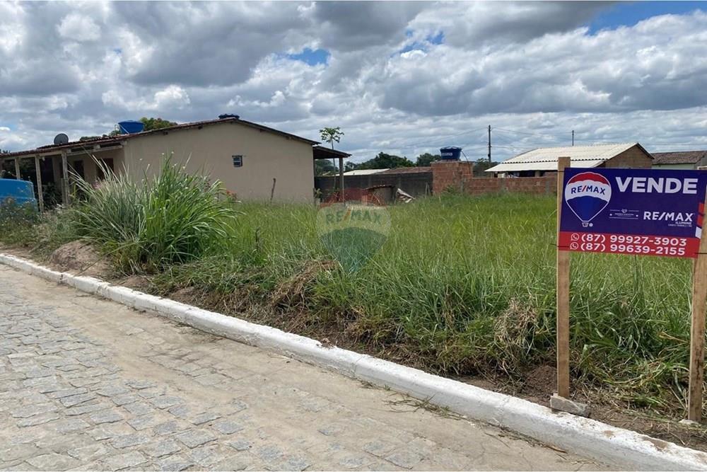 Terreno - Venda - Brejão , Pernambuco - Onça 3.jpeg - 850741009-2