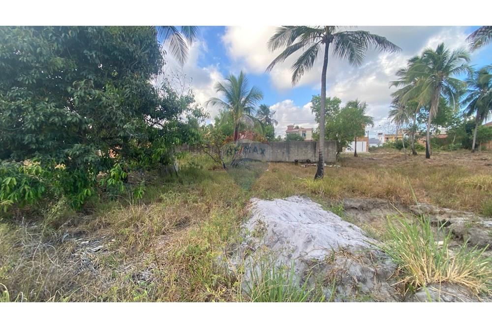 Terreno - Venda - Maragogi , Alagoas - IMG_3069.jpeg - 850271264-16